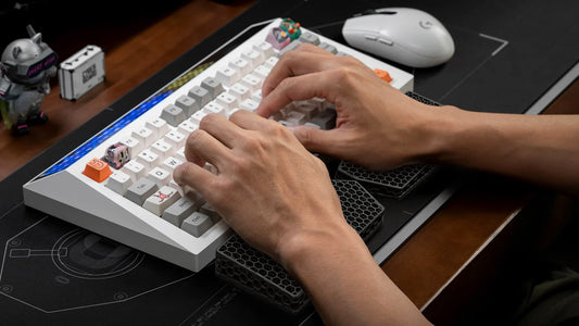 ErgoRest 3D
